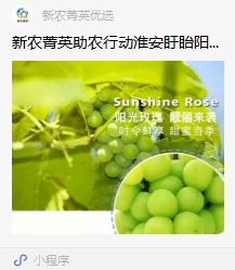 盱眙團縣委 新農菁英 助力優質農產品銷售