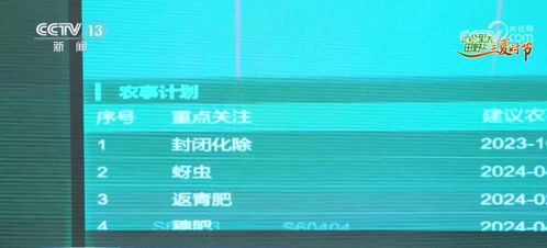 科技與農(nóng)業(yè) 碰撞 算力 一張網(wǎng) 助力農(nóng)產(chǎn)品生產(chǎn)向優(yōu) 向綠 向新