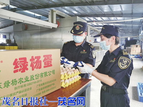 海關助力茂名鮮雞蛋首次出口，網(wǎng)上銷售初級農產品邁新步