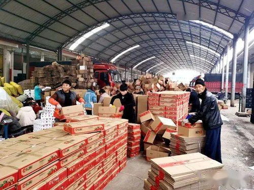 小小水果泡沫托，輕盈承載脫貧夢(mèng)——探索初級(jí)農(nóng)產(chǎn)品網(wǎng)絡(luò)銷售新路徑